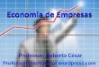 Economia de Empresas Professor: Roberto César Professorrobertocesar.wordpress.com