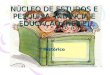 NÚCLEO DE ESTUDOS E PESQUISA: INFÂNCIA E EDUCAÇÃO (NEPIE) Histórico Histórico