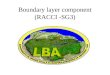 Boundary layer component (RACCI -SG3). Estratégia de coleta de dados 4 sítios experimentais de RS (Abracos, Rebio Jaru, Porto Velho e Guajará-Mirim) Sondagens