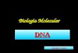 Biologia Molecular DNA Alexandre S. Osório. A natureza química dos genes Histórico  Miescher (1871) – Análise química com células de pus, rins, fígado,