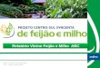 Relatório Vitrine Feijão e Milho ABC DTM – Antonio M. Sousa Neto ATV – Juarez Rupel Filho