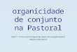 Organicidade de conjunto na Pastoral DGAE 11-15, Documento de Aparecida, Estudo 104, Evangelii Gaudium Palavra e ação pastoral