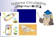 Índice: O Sistema Circulatório dos Peixes; O Sistema Circulatório das Aves; O Sistema Circulatório dos Anfíbios; Referências; Fim!!!