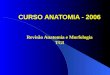 CURSO ANATOMIA - 2006 Revisão Anatomia e Morfologia TGI