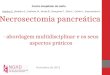 Necrosectomia pancreática - abordagem multidisciplinar e os seus aspectos práticos Martins C., Barbeiro S., Canhoto M., Arroja B., Gonçalves C., Silva