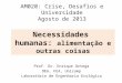AM020: Crise, Desafios e Universidade Agosto de 2013 Prof. Dr. Enrique Ortega DEA, FEA, Unicamp Laboratório de Engenharia Ecológica Necessidades humanas: