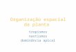 Organização espacial da planta tropismos nastismos dominância apical