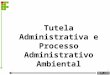 1 Tutela Administrativa e Processo Administrativo Ambiental