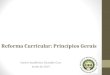 Reforma Curricular: Princípios Gerais Centro Acadêmico Oswaldo Cruz Junho de 2014
