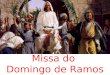Missa do Domingo de Ramos. CANTO DE ENTRADA Acolhida e Bênção dos Ramos