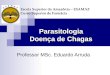 Parasitologia Doença de Chagas Professor MSc. Eduardo Arruda Escola Superior da Amazônia – ESAMAZ Curso Superior de Farmácia