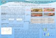 Ecomorfologia e alimentação de Characiformes de riachos costeiros da Mata Atlântica Tulio Portella & Rosana Mazzoni Lab. Ecologia de Peixes/ Dep. De Ecologia