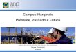 Campos Marginais Presente, Passado e Futuro Agência Nacional do Petróleo, Gás Natural e Biocombustíveis Magda Chambriard Diretora
