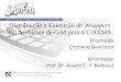 Distribuição e Execução de Wrappers em Ambiente de Grid para o CoDIMS Orientado Cristiano Biancardi Orientador Prof. Dr. Alvaro C. P. Barbosa