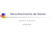 Reconhecimento de Genes Marcílio C. P. de Souto DIMAp/UFRN