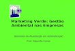 Marketing Verde: Gestão Ambiental nas Empresas Seminário de Atualização em Administração Prof. Salomão Farias