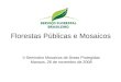 Florestas Públicas e Mosaicos II Seminário Mosaicos de Áreas Protegidas Manaus, 26 de novembro de 2008