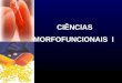 CIÊNCIAS MORFOFUNCIONAIS I. FARMACOLOGIA Ciência que estuda a interação entre os compostos químicos com o organismo vivo sistema biológico, resultando
