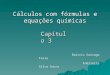 Cálculos com fórmulas e equações químicas Beatriz Gonzaga Faria Andrielle Silva Sousa Capítulo 3