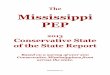The Mississippi PEP 2013 Conservative State of the State Report