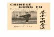 bruce lee: chinese gung fu