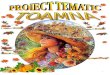 proiect tematic TOAMNA