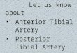 Anterior Tibial Artery, Posterior Tibial Artery, Dorsal Pedis Artery, Peroneal Artery