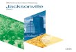 IBM Smarter Cities Challenge - Jacksonville Final Report