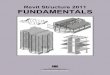 Revit Structure 2011 Fundamentals