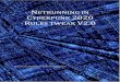 Netrunning in Cyberpunk 2020 Tweaks V2.0