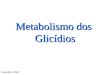 Metabolismo Dos Carboidratos II