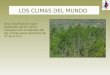 Una clasificación que pretende servir como introducción al estudio de los climas para alumnos de 3º de E.S.O. LOS CLIMAS DEL MUNDO