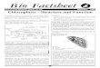 Chloroplasts Structure and Function Factsheet
