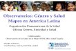 Observatorios: Género y Salud Mapeo en America Latina Organización Panamericana de la Salud Oficina Genero, Etnicidad y Salud Colaboración: Observatorio