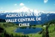 Valle Central -El Valle Central de Chile es una gran depresión geológica - Ocupa la Cordillera Occidental de los Andes y la Cordillera de la Costa, con