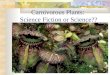 Carnivorous Plants PPT Les 3