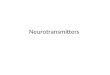 Neurotransmitters Lecture