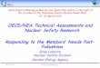OECD/ NEA Technical Assessments and Nuclear Safety Research