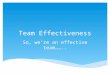 So We Are An Effectice Team