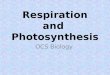 Respiration (with review of photosynthesis)