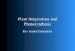 Photosynthesis, Plant  Respiration