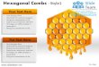 Hexagonal combs design 1 powerpoint ppt templates