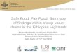 Safe Food, Fair Food: Summary of findings within sheep value chains in the Ethiopian Highlands