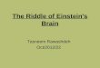 The Rriddle Of Einstein's Brain