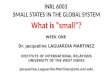 Small states an introduction