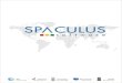 Spaculus Software Services profile