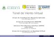 Virtual Wind Tunnel January 21/09 Túnel de Viento Virtual Grupo de Investigación Mecánica Aplicada (Universidad EAFIT), Grupo de Investigacion IMAGINE