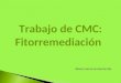 Presentación fitorremediación, CMC trabajo