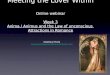 Webinar 3 Meeting the Lover Within