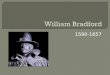 William bradford 244